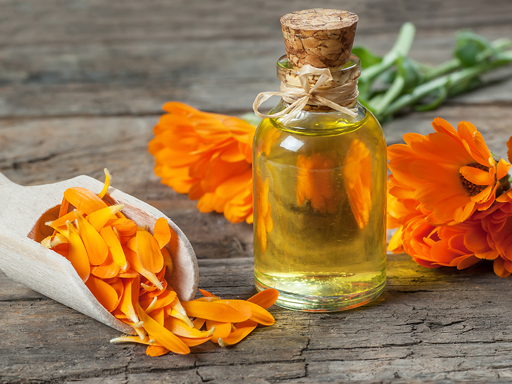 Glass bottle of calendula essential oil with fresh marigold flowers on wooden table