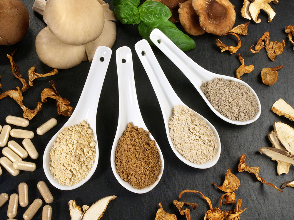Medicinal Mushrooms Powder