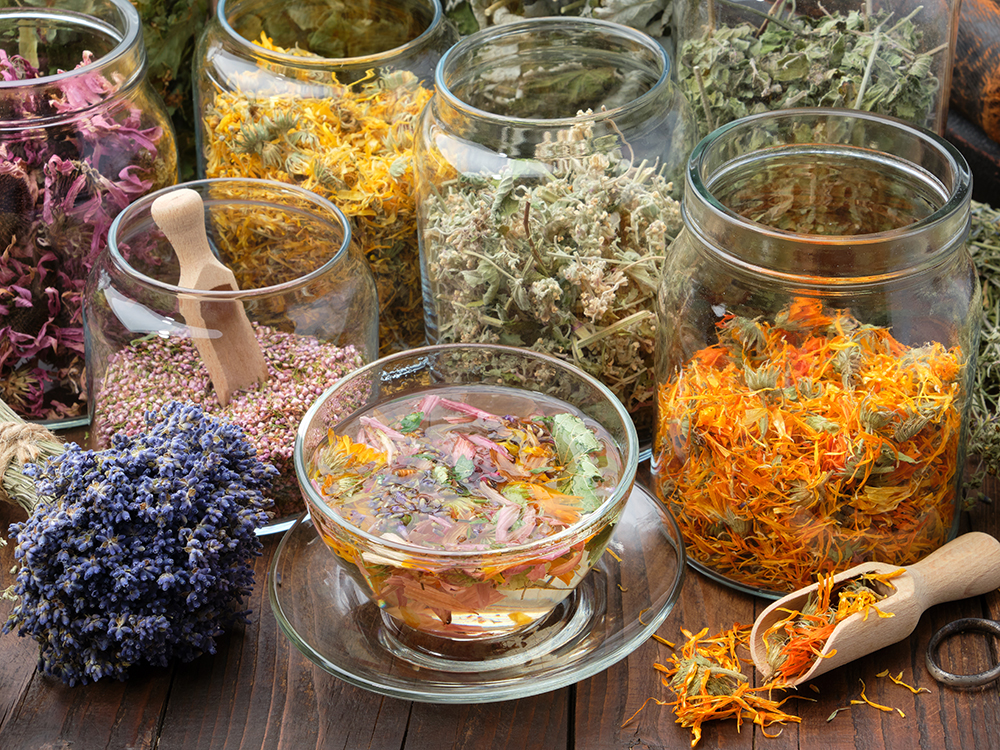 Cup of healthy calendula tea, Jars of dry medicinal herbs - heather, calendula, coneflowers, melissa, linden tree flowers, bunch of dry lavender on wooden table. Alternative medicine.